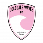 Coledale waves purpose physiotherapy
