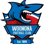 woonona sharks fc purpose physiotherapy